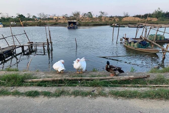 3 Hours Hoi An Countryside Motorbike Tour - Stop 2: An Bang Beach Hour for Sand, Air, and a Real Coffee Break
