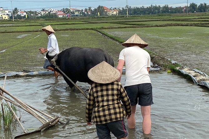 5-Hour Discovery Countryside by Cycling, Buffalo and Basket Boat - Lunch at a Local Home: Coconut Jam, Tea, and Family Time
