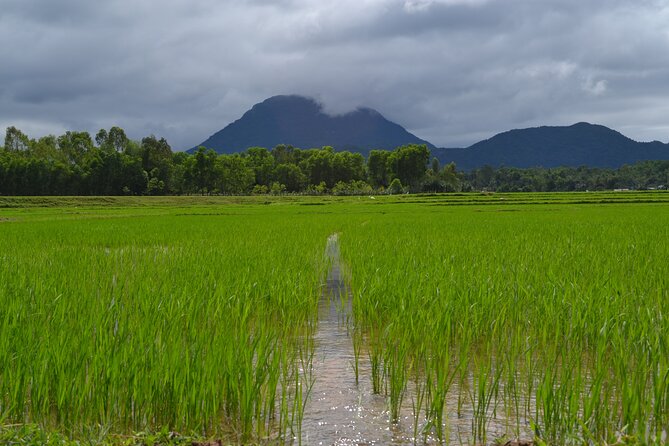 Adventure Bike Tour from Hoi An - My Son Sanctuary Stop, Plus the Optional Temple Add-On
