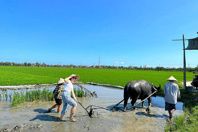 Authentic Hoi An: Explore Countryside with Locals - Price and logistics: what you’re actually paying for