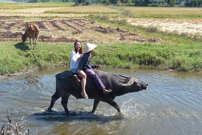 Buffalo riding and Basket Boat Half Day Tour - Rain or shine: how the half-day stays on track