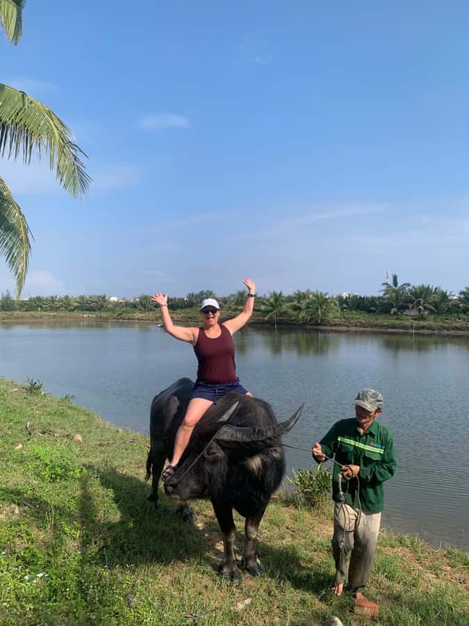 BUFFALO RIDING -BASKET BOAT & BIKE TOUR-HOI AN - Buffalo Riding and Feeding: The Moment Everyone Remembers