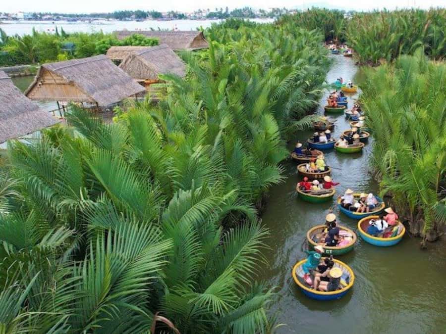 BUFFALO RIDING -BASKET BOAT & BIKE TOUR-HOI AN - Lunch or Dinner in Hoi An: What You’ll Eat and Why It Works