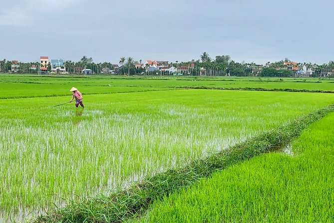 Buffalo Riding, Basket Boat Tour And Cooking Class - Market Shopping in Hoi An: Ingredients and Bargaining Tips That Pay Off