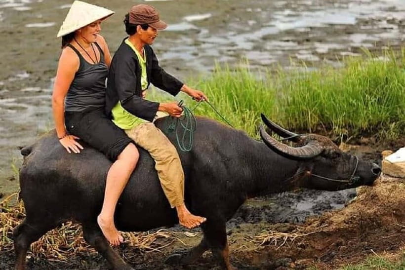Buffaloe Riding/Ceramic/Cafe/Lantern Class/Basket Boat/Lunch - Buffalo Riding Through Rice Fields: Short, Real, and Guided by Farmers