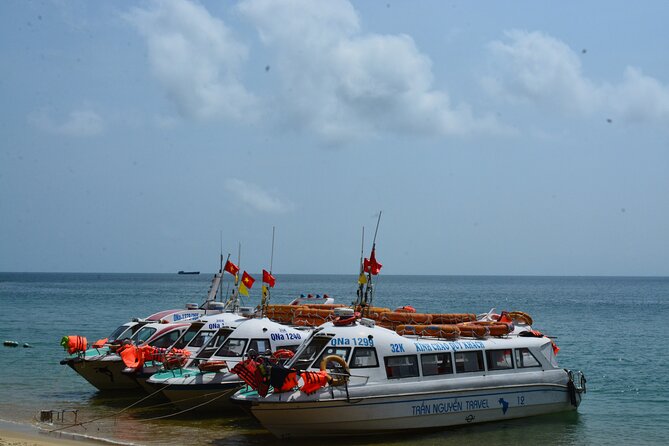 Cham Island Day Tour: Speed Boat, Lunch, Snorkeling & Beach - The Marine Protected Area visit: why it’s more than a photo stop