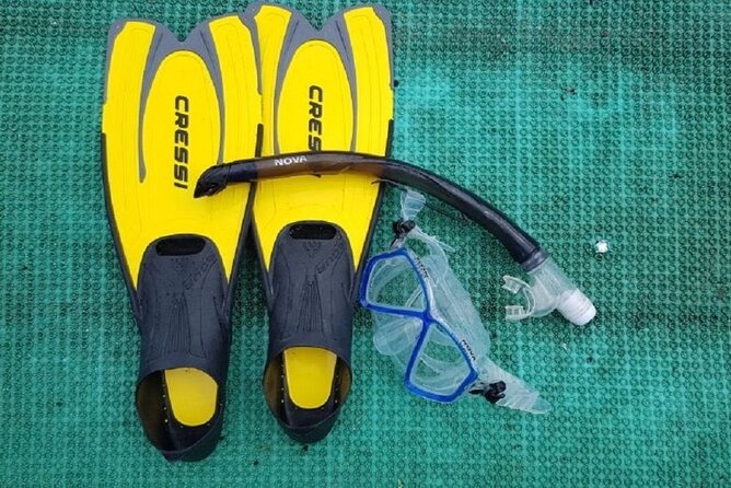 Cham Island Exploration Tour and Swimming with Local Guide - Cu Lao Cham from Hoi An: what you’re really paying for