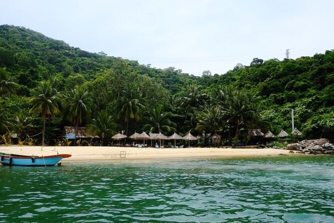 Cham Island Exploration Tour and Swimming with Local Guide - Who this Cham Island tour is best for (and who should skip)