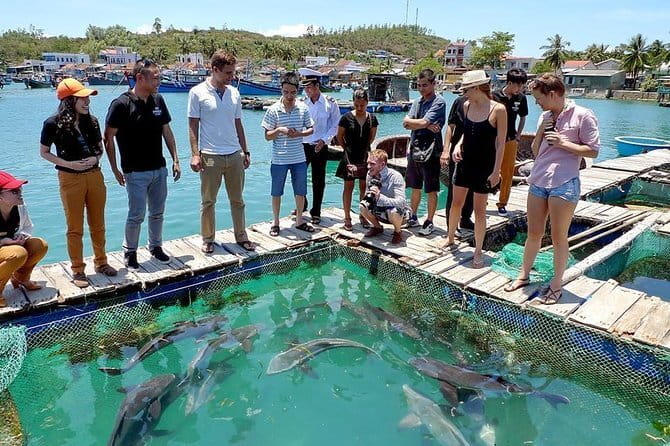 Cham Island Snorkeling Private Tour (Only Snorkeling & Beach) - Speedboat Time, Sea Views, and What the “6 Hours” Means