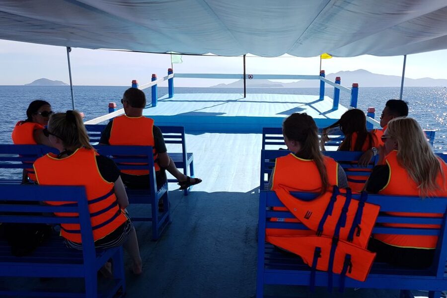 Cham Island: Snorkeling Tour - Who This Tour Fits Best (and Who Should Skip It)