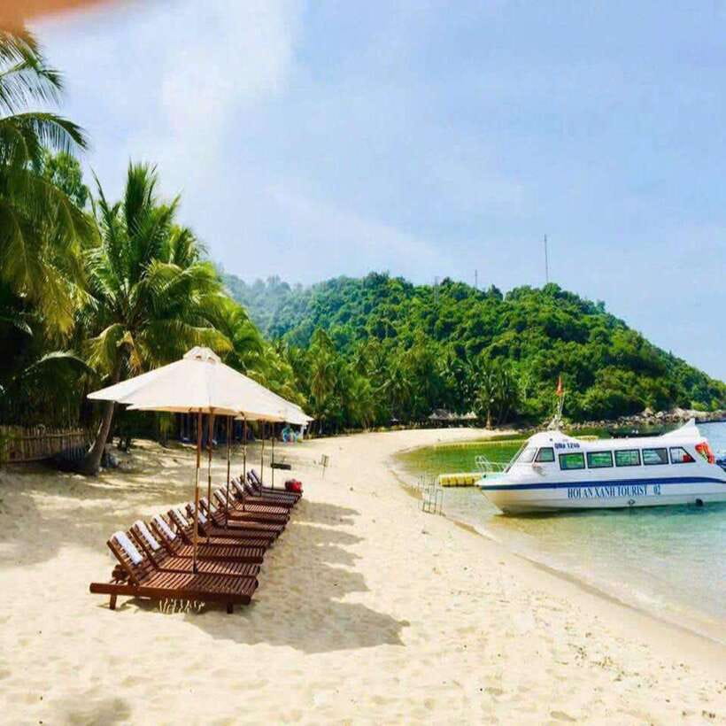 Cham Island - Snorkeling Tour from Hoi An/DaNang - Key highlights worth your attention