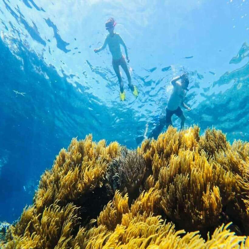 Cham Island - Snorkeling Tour from Hoi An/DaNang - What to bring (and what to skip) for Cham Island comfort