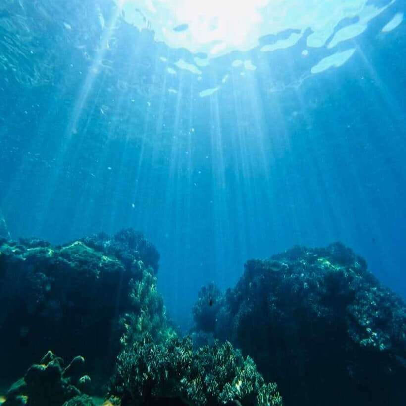 Cham Island - Snorkeling Tour from Hoi An/DaNang - Getting the most out of a short island day