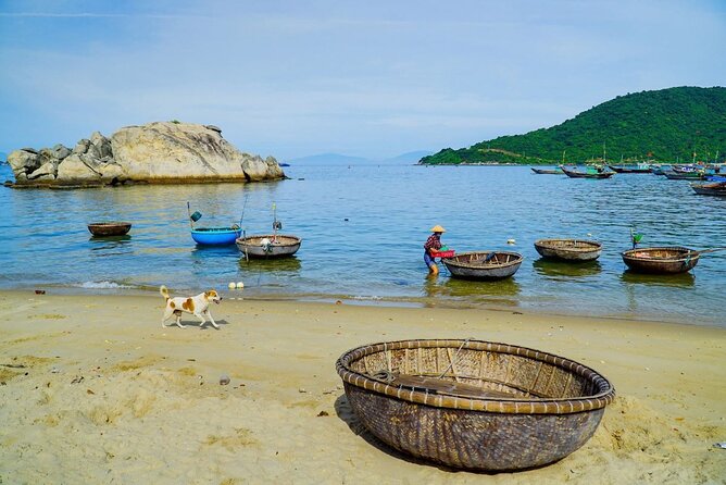Cham Island Snorkeling - Wonderful Beach - Speedboat Daily Tour - Price and Logistics: Does $36 Per Person Make Sense?