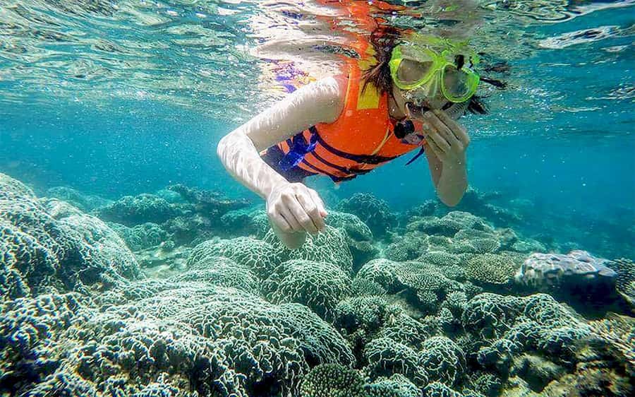 Cham Island Tour: Snorkeling & Spa from Da Nang/Hoi An - How the full day runs from pickup to 4:30 PM
