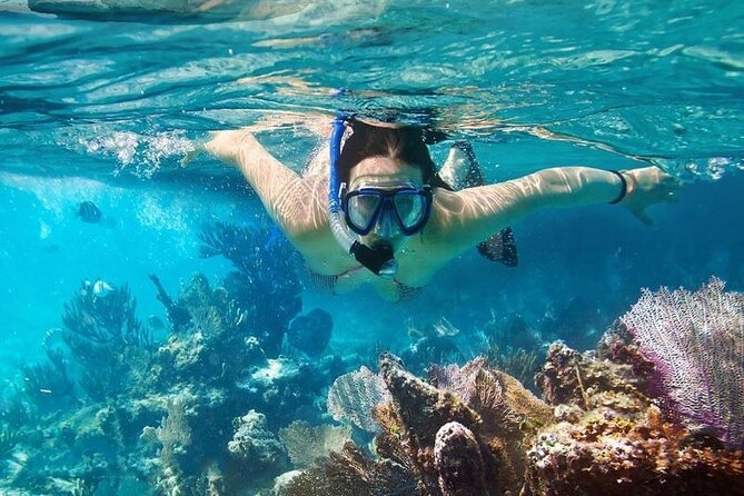 Cham Island Tour Snorkeling -Sunbathing - Nice Beach - Speedboat - Cu Lao Cham Museum and Au Thuyen: culture time that can be a dealbreaker or a bonus