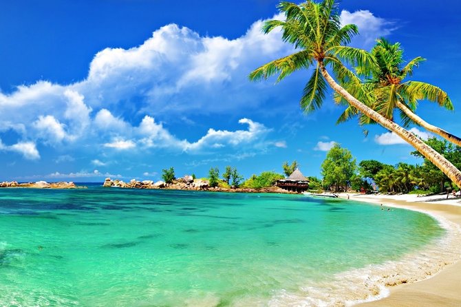 Cham Island Trip by Speed Boat including Snorkeling from Hoi An or Da Nang - The Seafood Lunch + Water: Solid Value, Simple Meal Rhythm