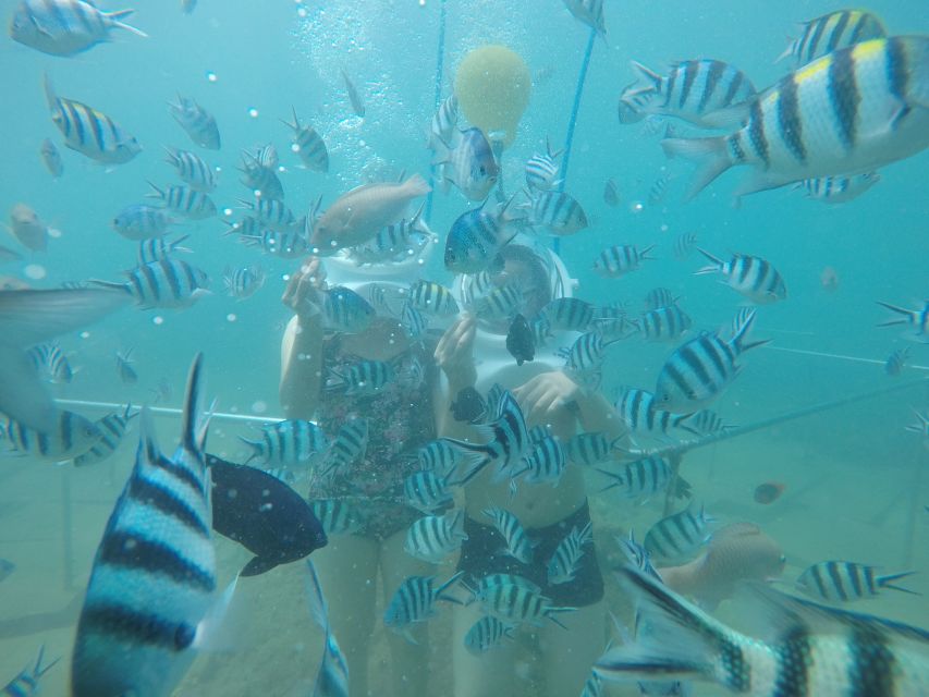 Cham Island: Underwater Walking & Snorkeling Tour - Key reasons Cham Island feels worth it