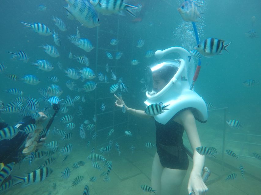 Cham Island: Underwater Walking & Snorkeling Tour - Getting From Hoi An to Cham Island: Cua Dai Wharf and that first wind-on-your-face boat ride