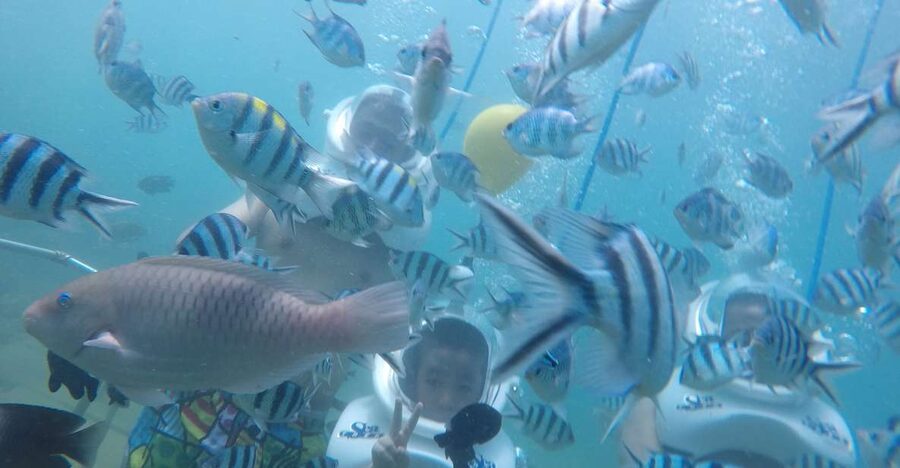 Cham Island: Underwater Walking & Snorkeling Tour - The oxygen-helmet seabed walk: the moment everyone remembers