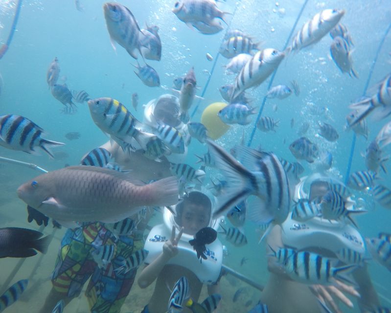 Cham Island: Underwater Walking & Snorkeling Tour - First Water Time: snorkeling, swim stops, and what you can expect to see