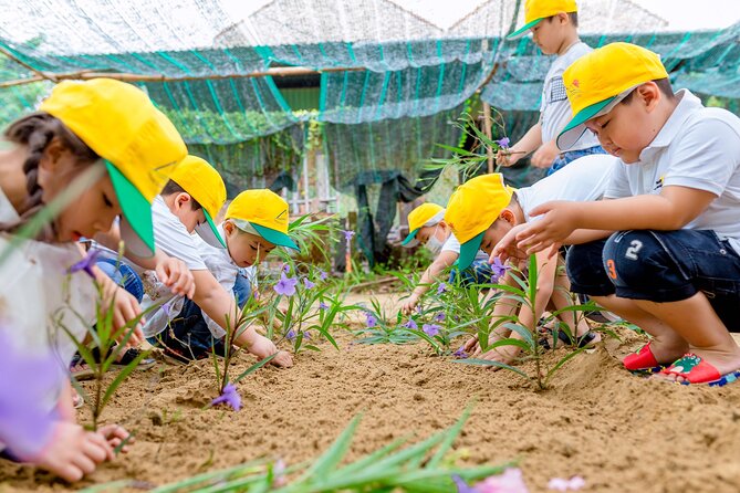 Cooking Class Hoi An - Organic Garden - Farming Tour-Handicrafts - Nearby add-on: the river resort next to the village