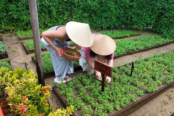 Cooking Class Hoi An - Organic Garden - Farming Tour-Handicrafts - Who this class is best for