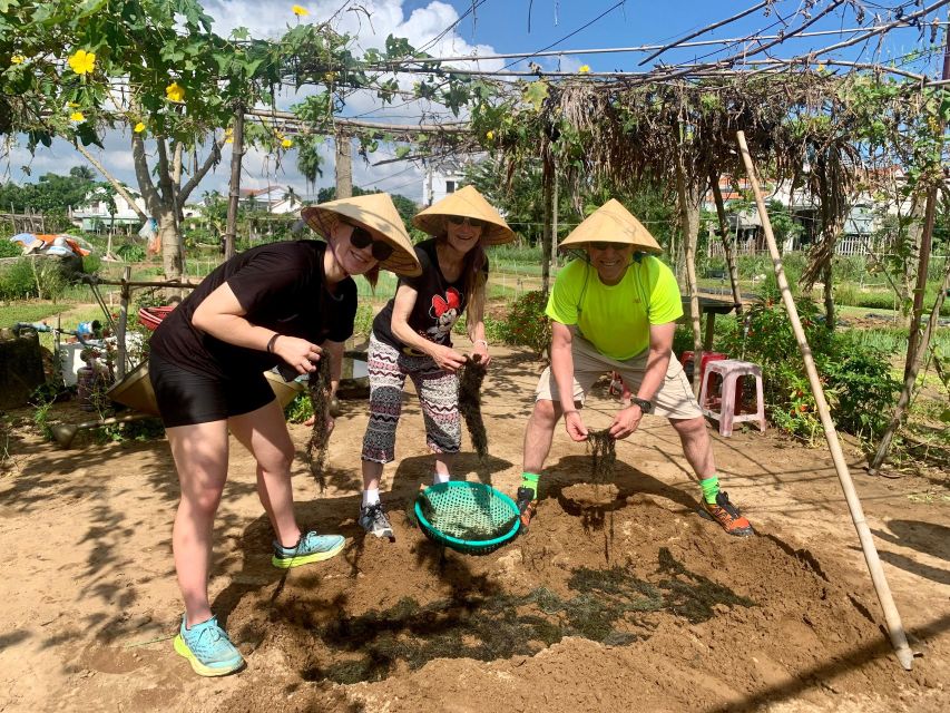 Cooking Class in Tra Que Organic Vegetable Village - Cooking Class: Making Classic Dishes Step by Step