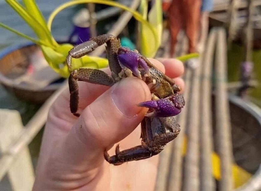 Cooking Class w Phở and Market & Basket Boat Ride in Hoi An - Should you book this Hoi An market, basket-boat, and phở cooking day?