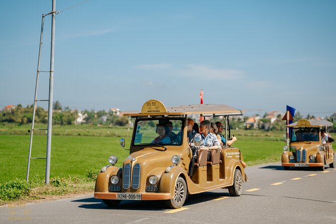 Countryside Adventure Private Tour by Electric Car - Rice fields off the main roads: cows, buffalo, and photo timing