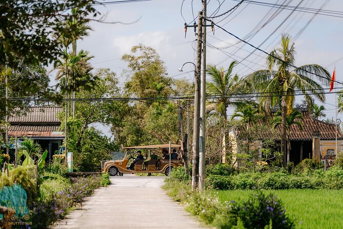 Countryside Adventure Private Tour by Electric Car - Coconut mangroves and basket-boat area: busy water life at a glance