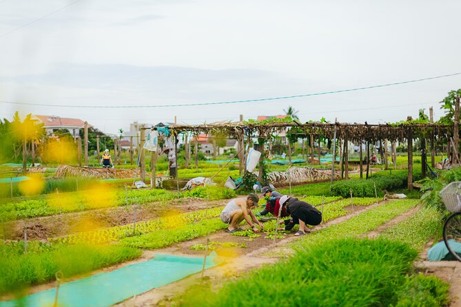 Countryside Adventure Private Tour by Electric Car - Guides: the secret sauce from Liem, Hau, and Tien Tai