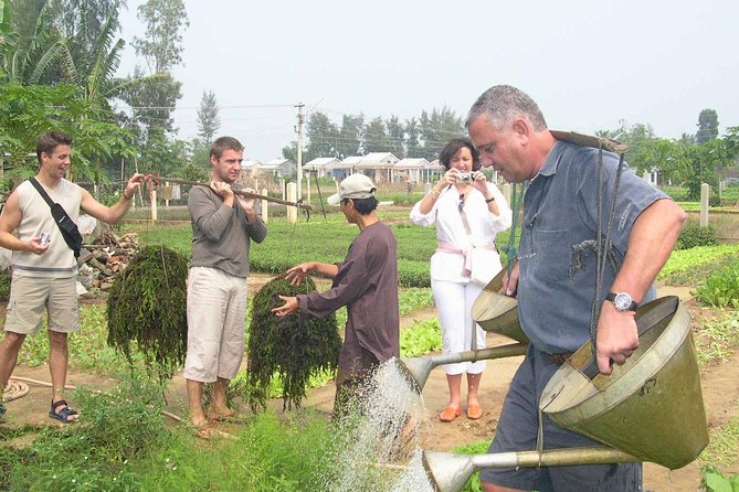 Countryside and Villages Tour By Motorbike - Stop 4: Tra Que Vegetable Village—herbs, greens, and farm routines