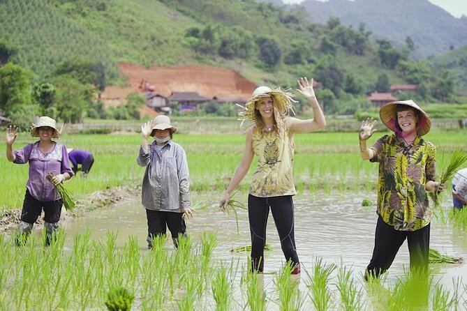 Countryside Bicycle Tour from Hoi An - All Inclusive - The Countryside Stretch: Rice Fields, Coconut Trees, and Thu Bon Views