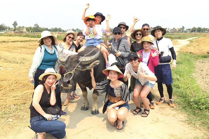 Cycling, Buffalo, Basket Boat ride in Hoi An - Buffalo rides and feeding: respectful, up-close, and unforgettable
