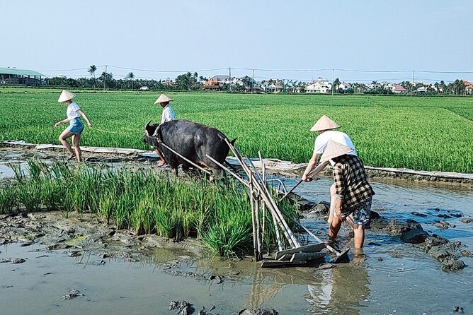 Cycling, Buffalo, Basket Boat ride in Hoi An - Bamboo basket boat ride: hands-on paddling through coconut palms