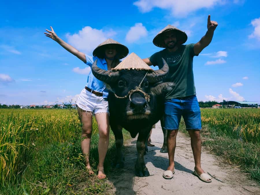 Cycling, Water Buffalo Riding, Traditional Farming Life - Getting from Hoi An to Cam Thanh without losing the day
