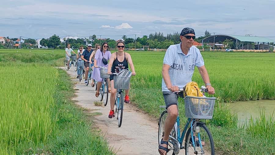 Cycling, Water Buffalo Riding, Traditional Farming Life - Rice field work: ploughing and planting baby rice