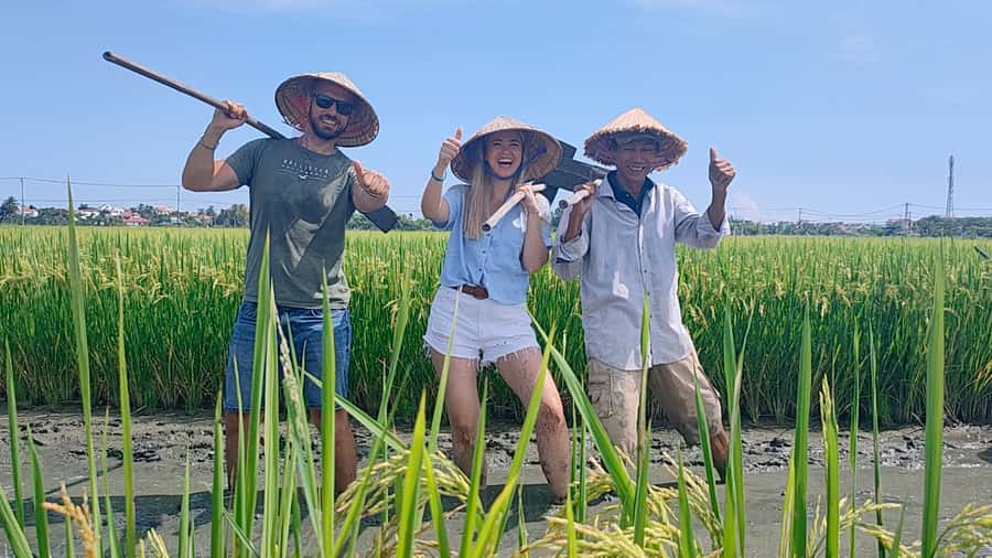 Cycling, Water Buffalo Riding, Traditional Farming Life - Water buffalo riding and feeding: respectful, hands-on, and memorable
