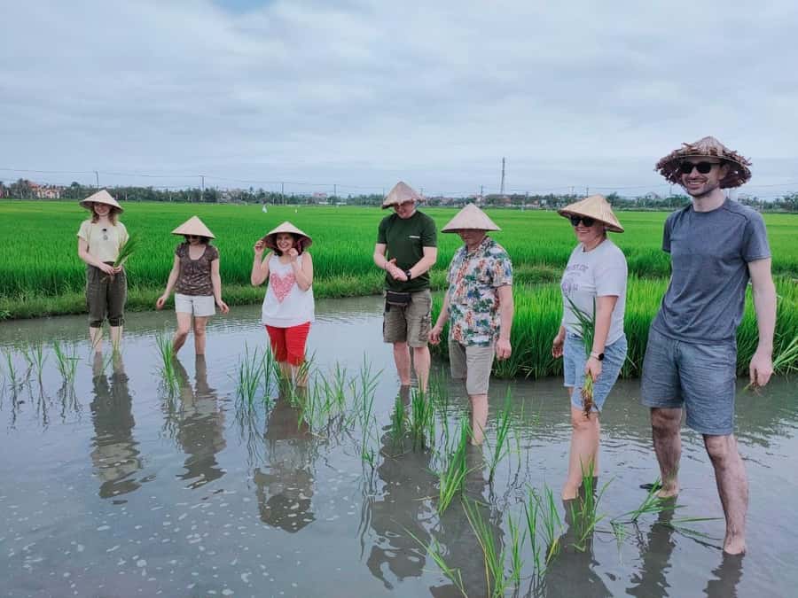 Cycling, Water Buffalo Riding, Traditional Farming Life - Guide energy: Cu, Mr. Cũ, and Duc bring the day to life