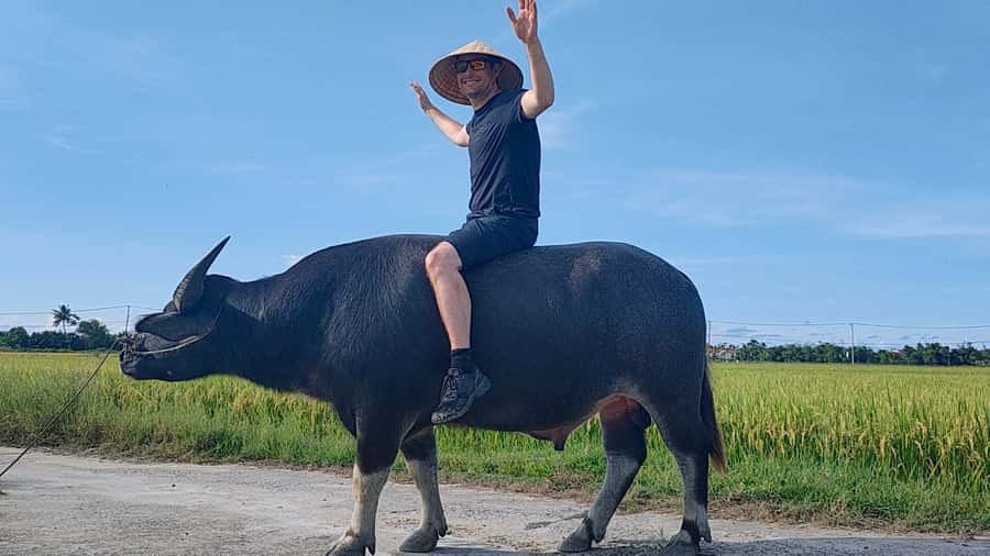 Cycling, Water Buffalo Riding, Traditional Farming Life - Cycling past rice and shrimp farms: what you’re really seeing