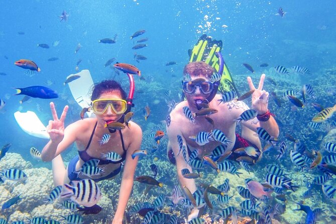 Da Nang/Hoi An: Cham Island Snorkeling, Sunbathing, Nice Beaches - UNESCO Cu Lao Cham Marine Park: Why Cham Island is worth a day trip