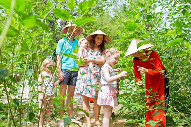 DISCOVER the Skills of sericulture & weaving, HOI AN SILK VILLAGE - Vietnamese mulberry garden: best leaves, careful chopping, and feeding silkworms