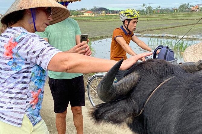 Experience Buffalo Ride and Farmer in Hoi An - Key highlights you’ll care about