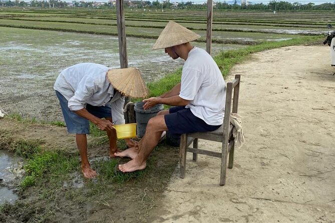 Experience Buffalo Ride and Farmer in Hoi An - The water buffalo ride: fun, but do it with respect