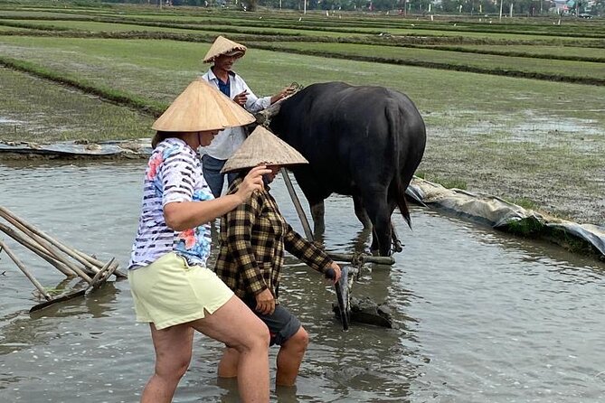 Experience Buffalo Ride and Farmer in Hoi An - Washing up afterward: the small detail that makes it comfortable