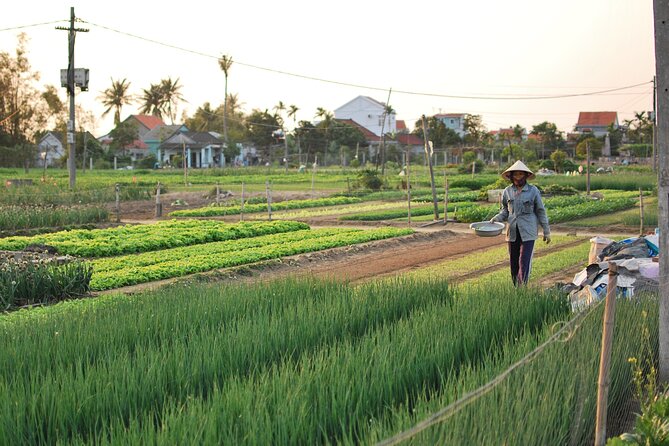 Explore Hoi An city or Da nang city with local guide - Who this tour suits best