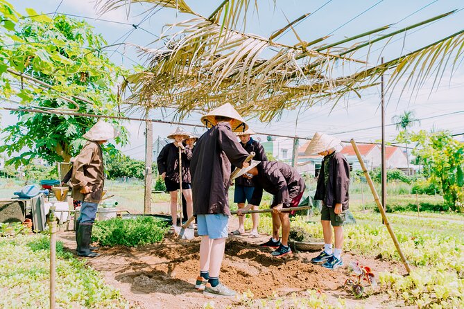 Farming & Cooking Class in Hoi An - Small Group Tour - What You Eat After Cooking (And Why Lunch Tastes Better Here)