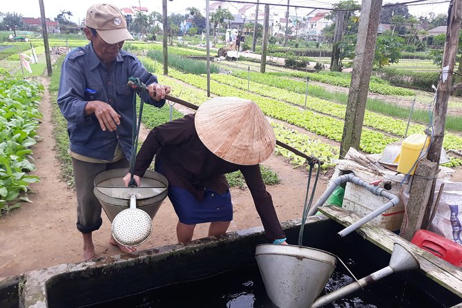 From AUTHENTIC FARMER'S LIFE to ECO RIVER FISHING EXPERIENCE - Timing and How to Plan Your Day in Hoi An