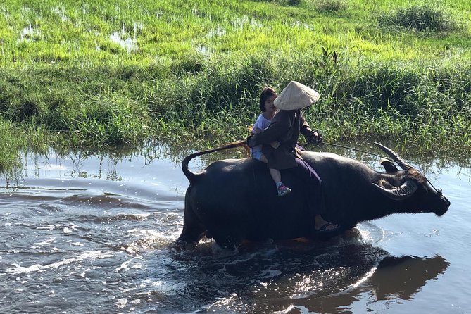 From AUTHENTIC FARMER'S LIFE to ECO RIVER FISHING EXPERIENCE - Price and What You Really Get for $34